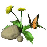 bloem.gif